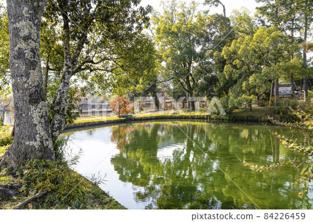 大覺寺(京都)秋季免費生命池 大覺寺(京都)秋季免費生命池 84226459