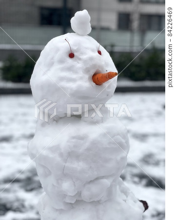 winter funny snowman with carrot 84226469