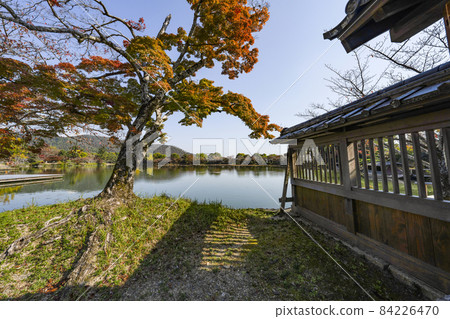 View of Daikakuji Temple (Kyoto) Osawaike area in autumn View of Daikakuji Temple (Kyoto) Osawaike area in autumn 84226470