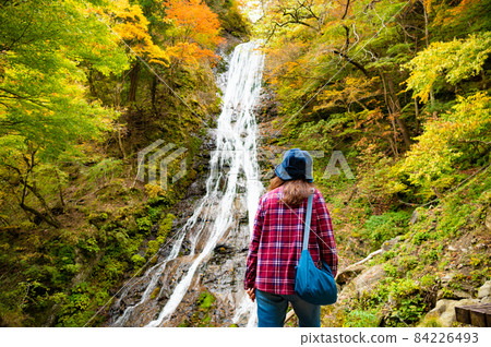 獨自旅行的中年婦女的丸神瀑布 獨自旅行的中年婦女的丸神瀑布 84226493
