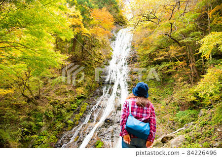 獨自旅行的中年婦女的丸神瀑布 獨自旅行的中年婦女的丸神瀑布 84226496