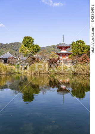 Shingyo-Hoto Tower seen from Daikakuji Temple (Kyoto) Free Life Pond in Autumn Shingyo-Hoto Tower seen from Daikakuji Temple (Kyoto) Free Life Pond in Autumn 84226498