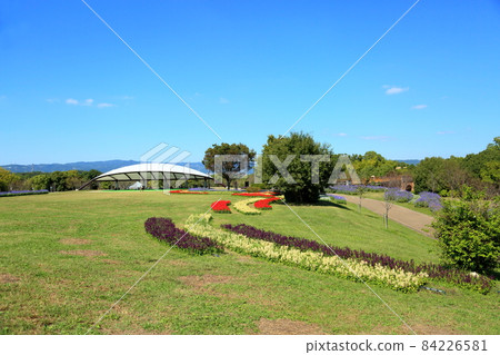 Salvia花園 Salvia花園 84226581