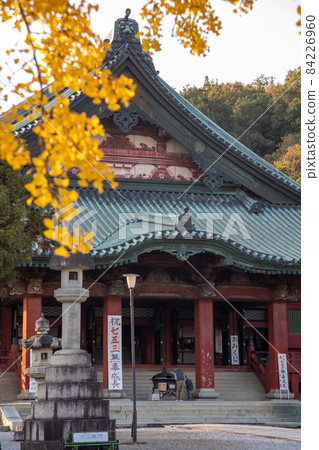 群馬縣太田市大光院海岸 84226960