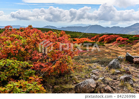 Autumn in Hakusan Autumn in Hakusan 84226996