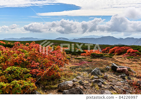 Autumn in Hakusan Autumn in Hakusan 84226997