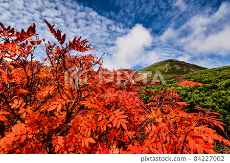 Autumn in Hakusan 84227002