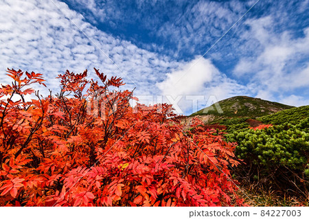 Autumn in Hakusan Autumn in Hakusan 84227003