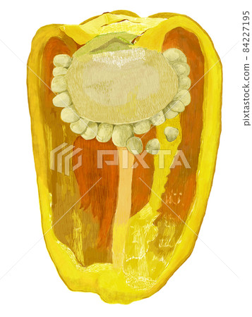 辣椒黃橫截面_real touch_vertical 辣椒黃橫截面_real touch_vertical 84227195