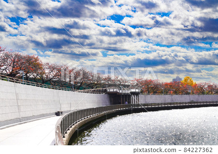 Nakagawa promenade where the autumn leaves are over 84227362