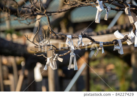 The precincts of Daikoin 84227429