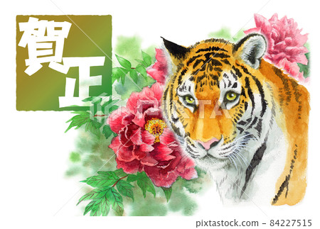 New Year's material analog watercolor tiger face and winter flowers red peony 84227515