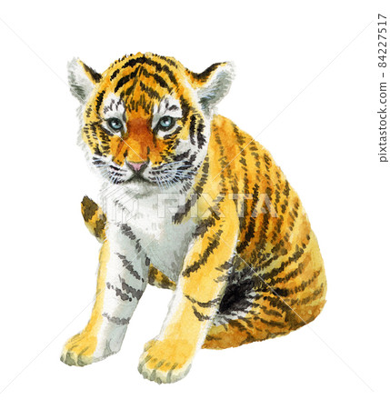 模擬水彩坐虎小孩 84227517