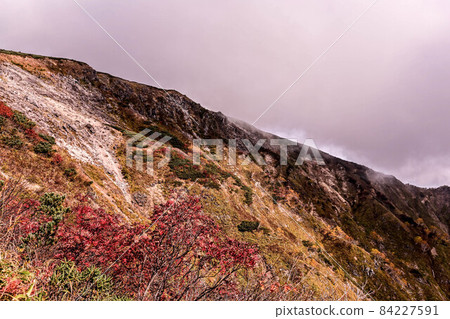 Autumn in Hakusan Autumn in Hakusan 84227591