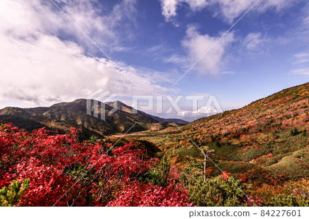 白山的秋天 白山的秋天 84227601