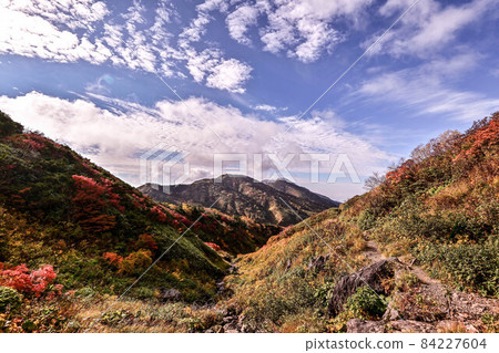 白山的秋天 84227604