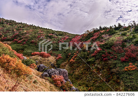 Autumn in Hakusan Autumn in Hakusan 84227606