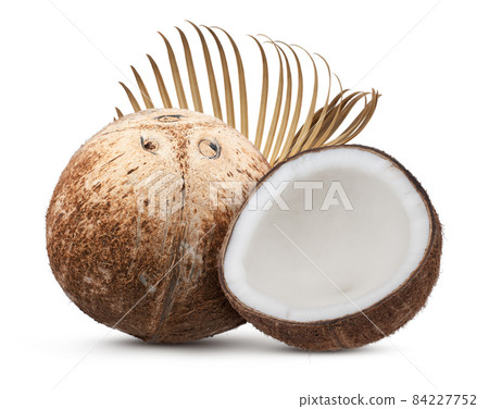 coconut fruit isolated on white background 84227752