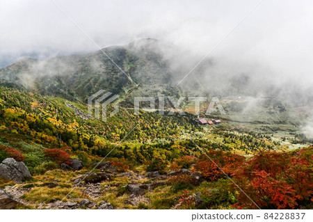 白山南柳葉場的秋天 白山南柳葉場的秋天 84228837