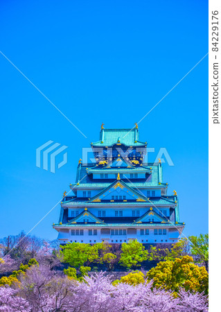 Sakura in Osaka Castle and Nishinomaru Garden Sakura in Osaka Castle and Nishinomaru Garden 84229176