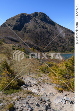 Autumn sunlight Shirane mountain 84229259