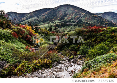Autumn in Hakusan Minami Ryugababa Autumn in Hakusan Minami Ryugababa 84229580