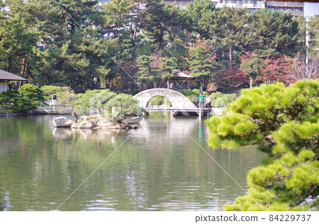 秋景滿園的樹景園 84229737