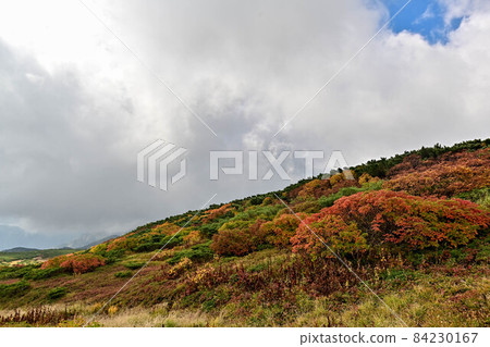 Autumn of Hakusan Murododaira Autumn of Hakusan Murododaira 84230167