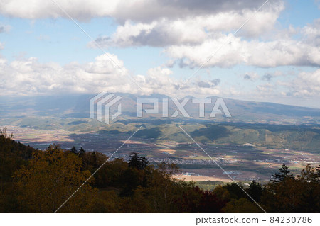 Autumn leaves in Furano city Autumn leaves in Furano city 84230786