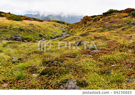 Autumn of Hakusan Murododaira 84230883