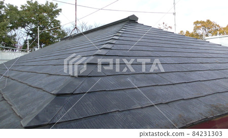 The roof The roof 84231303