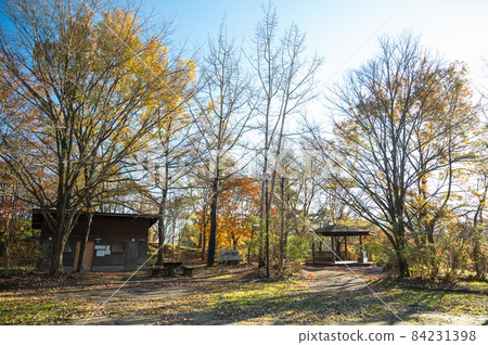 秋 久志房津田園公園 松本市 秋 久志房津田園公園 松本市 84231398