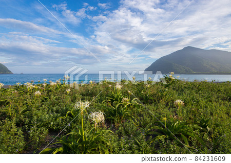 嵯峨市龜前元樽海岸的濱湯與大海 嵯峨市龜前元樽海岸的濱湯與大海 84231609