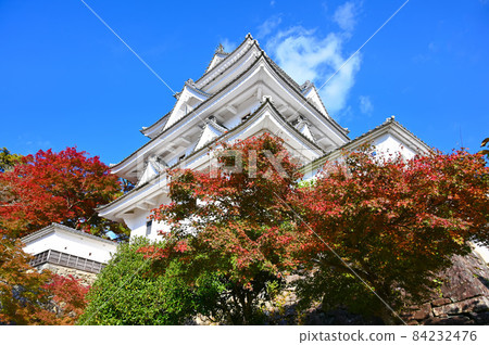 郡上八幡城天守閣秋天郡上市 84232476