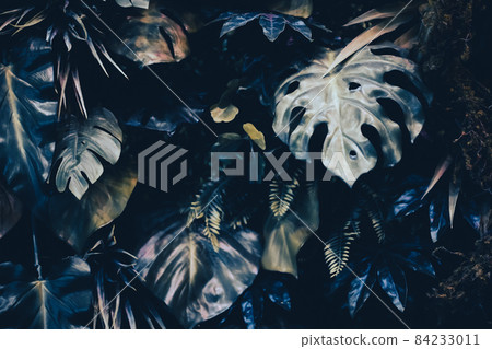 Tropical leaves as nature and environmental background, botanical garden and floral backdrop, plant growth and landscape design 84233011