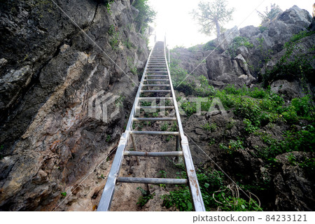 Vertical Standard Fixed Steel Ladder for tourist 84233121
