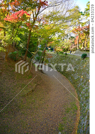 岡崎城 Kiyoumibori Ishigaki 秋季 岡崎市 岡崎城 Kiyoumibori Ishigaki 秋季 岡崎市 84233159