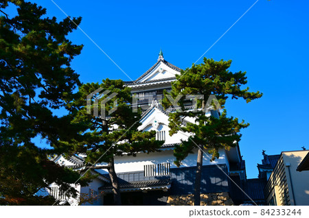 岡崎城天守閣岡崎市 岡崎城天守閣岡崎市 84233244