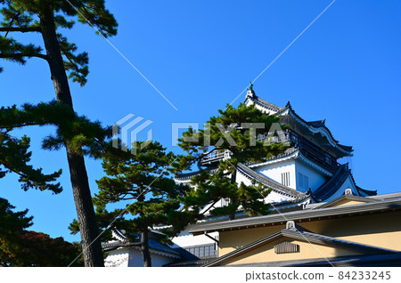 岡崎城天守閣岡崎市 岡崎城天守閣岡崎市 84233245