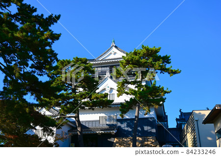 岡崎城天守閣岡崎市 84233246