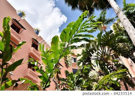 Holidays in Hawaii 84233514