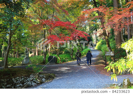 Koto Sanzan Hyakusaiji Temple Walk 82 (Aichi-gun, Shiga Prefecture) Koto Sanzan Hyakusaiji Temple Walk 82 (Aichi-gun, Shiga Prefecture) 84233623