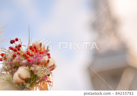 藍天和乾花 藍天和乾花 84233781