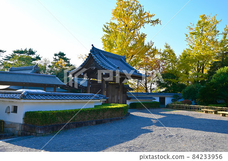 岡崎城二之丸能樂堂 岡崎市 岡崎城二之丸能樂堂 岡崎市 84233956