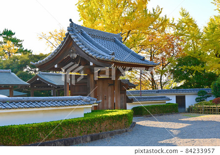 岡崎城二之丸能樂堂 岡崎市 岡崎城二之丸能樂堂 岡崎市 84233957