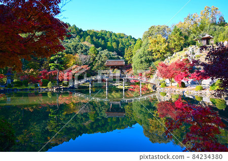 Eihoji Temple Eihoji Garden Musai Bridge Autumn Leaves Tajimi City Eihoji Temple Eihoji Garden Musai Bridge Autumn Leaves Tajimi City 84234380