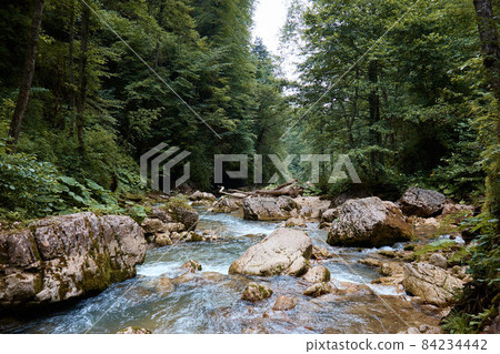 Landscape, mountain river and forest, water flowing over rocks, plants and greenery by the stream Landscape, mountain river and forest, water flowing over rocks, plants and greenery by the stream 84234442