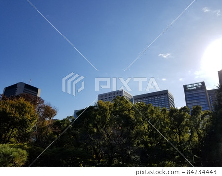 日比谷公園秋葉秋晴 日比谷公園秋葉秋晴 84234443