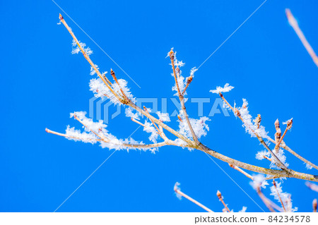 冬天的白馬村風光【長野縣】 84234578