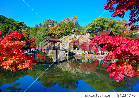 Eihoji Temple Eihoji Garden Musai Bridge Autumn Leaves Tajimi City 84234776